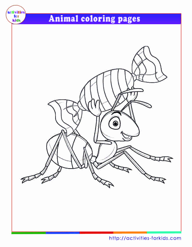 Animal coloring pages for kids: free printable